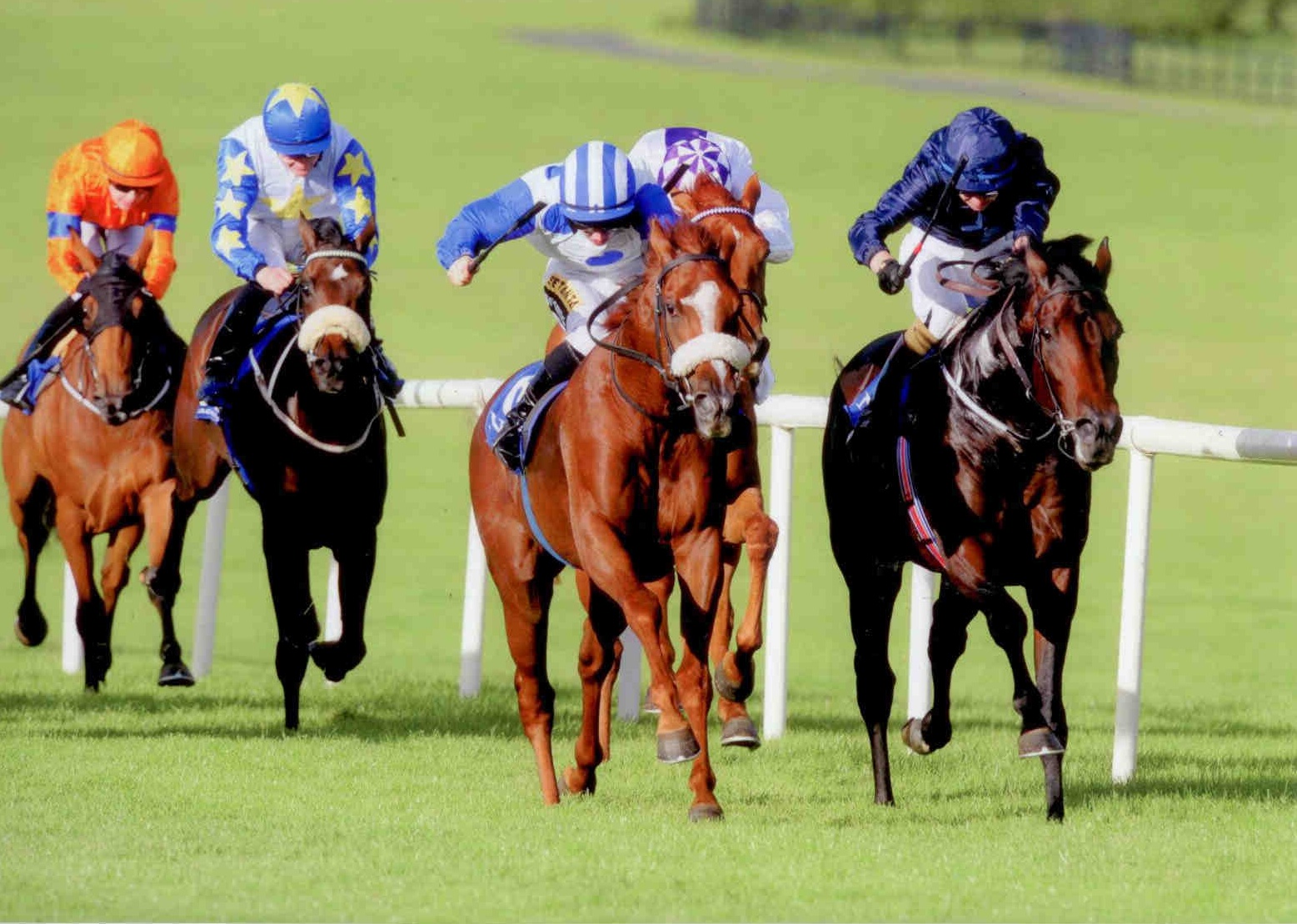 MINT CHAI makes it two in a row at NAAS on September 23rd 2015